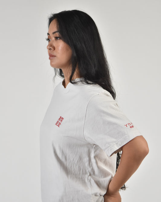 期間限定 limited time offer shirt, worn by a model