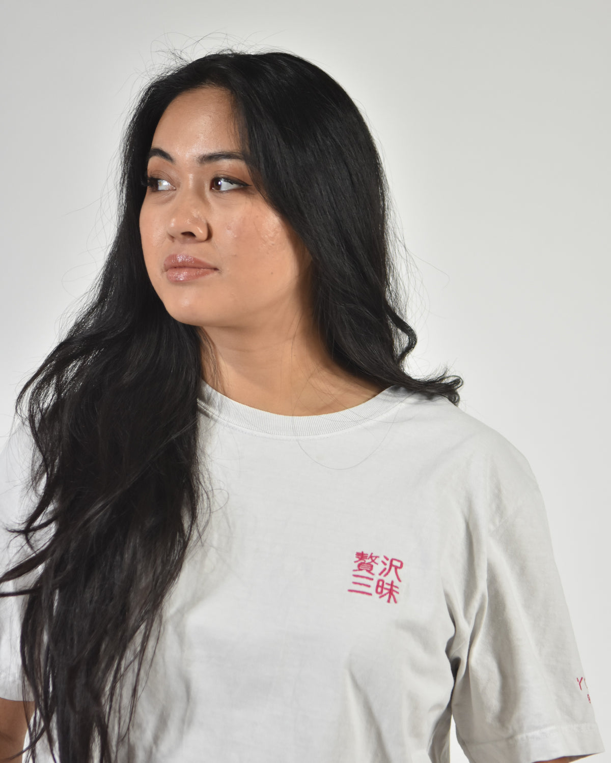 贅沢三昧 luxurious indulgence shirt, worn by a model